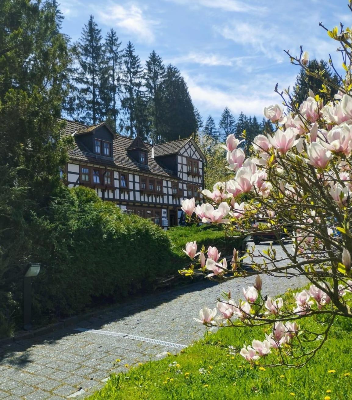Pension Landhaus Machold Friedrichroda Exterior foto